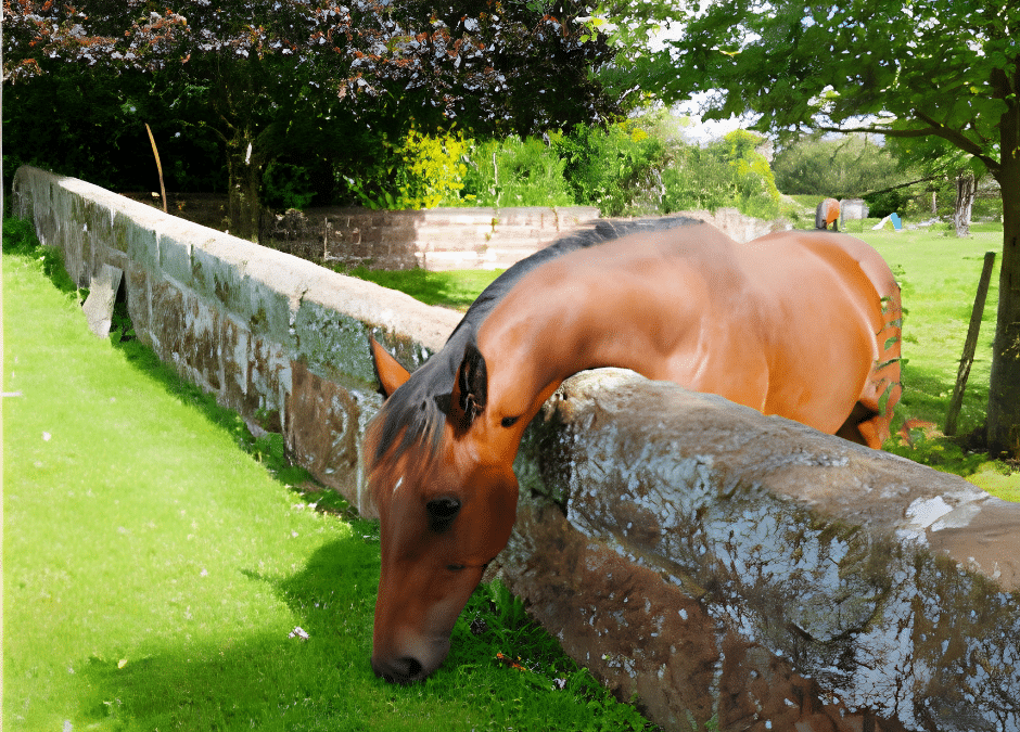 The Grass is Not Always Greener on the Other Side